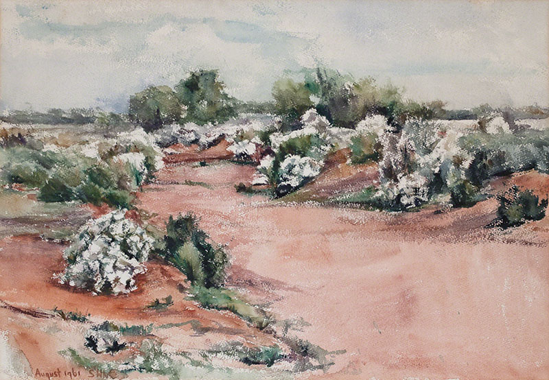 Flowering Saltbush, Euriowie Creek by Susan Dorothea White