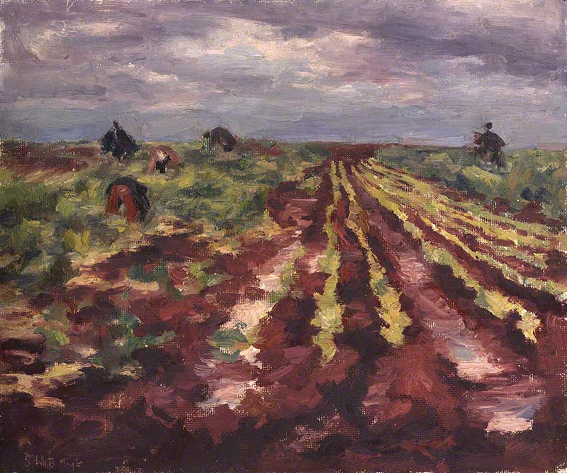 Market Gardeners, Approaching Storm, Two Wells, Adelaide Plains by Susan Dorothea White