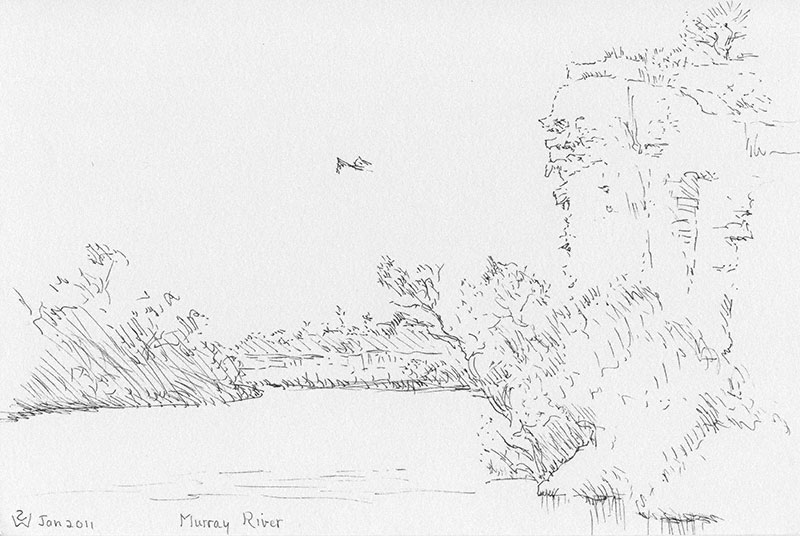 Murray River: Cliffs and Bird  by Susan Dorothea White