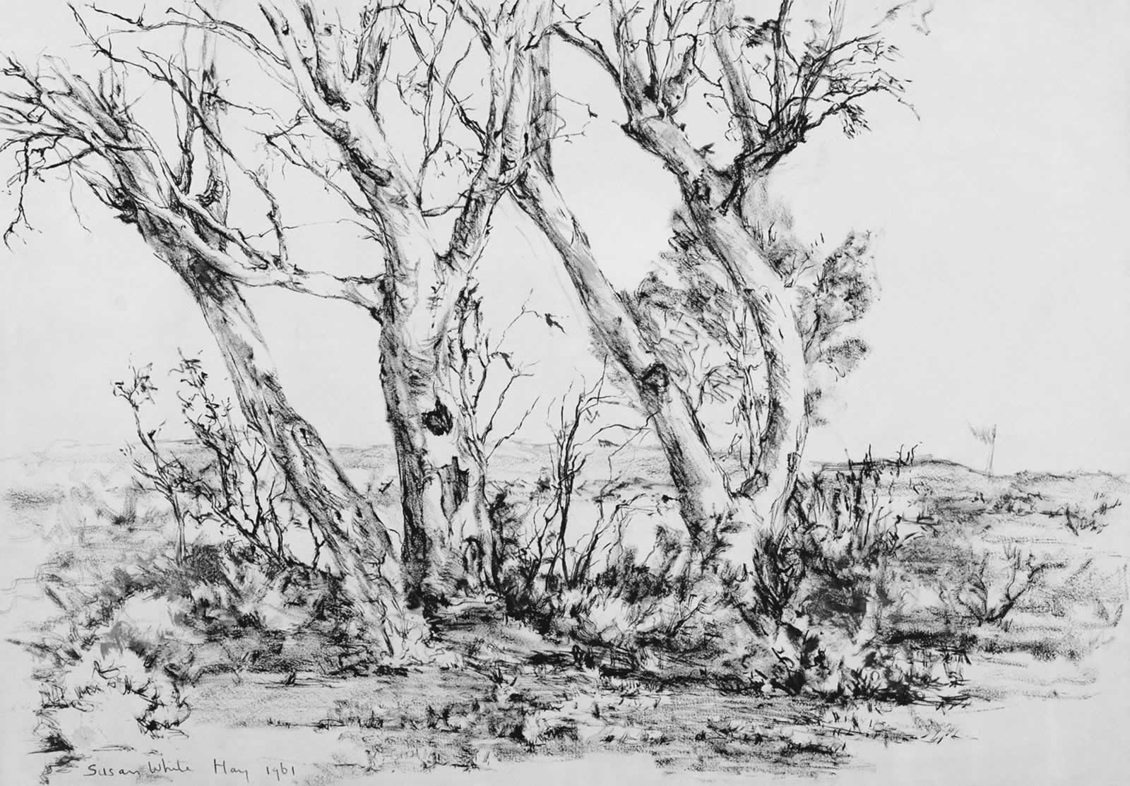 Outback Gums and Saltbush (Stephens Creek) / Trees by Susan Dorothea White