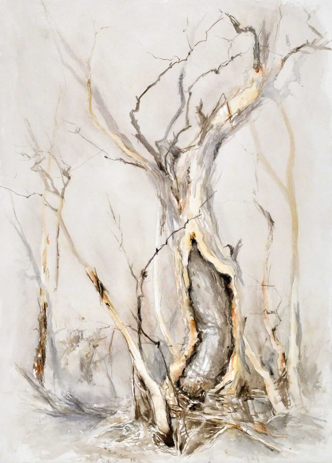 Silver and Ochre Gum, Mongarlowe River by Susan Dorothea White