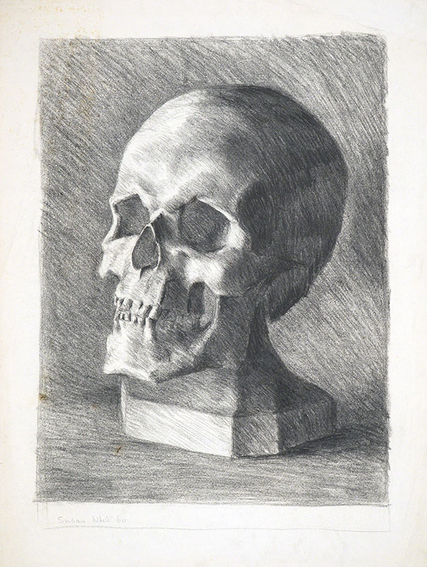 Skull Plaster Cast, Julian Ashton Art School by Susan Dorothea White