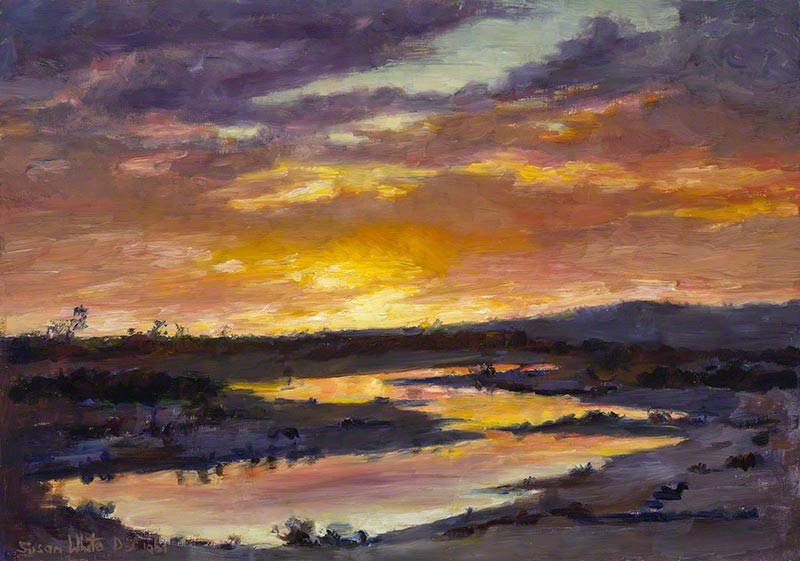 Sunset: Salt Creek, Tumby Bay, South Australia by Susan Dorothea White