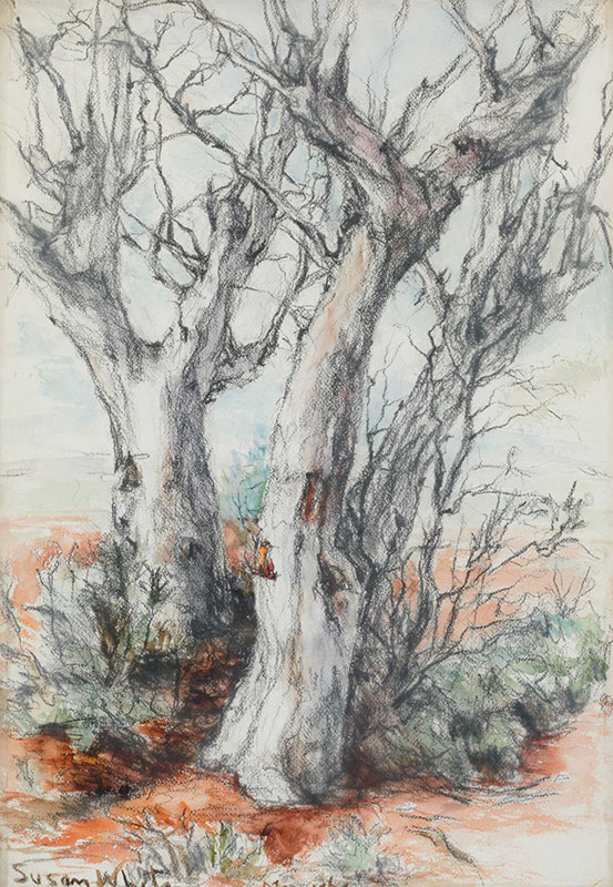 Three Trees by Susan Dorothea White