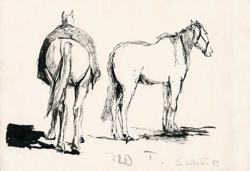 Two Horses, Ivymeade, Burnside by Susan Dorothea White