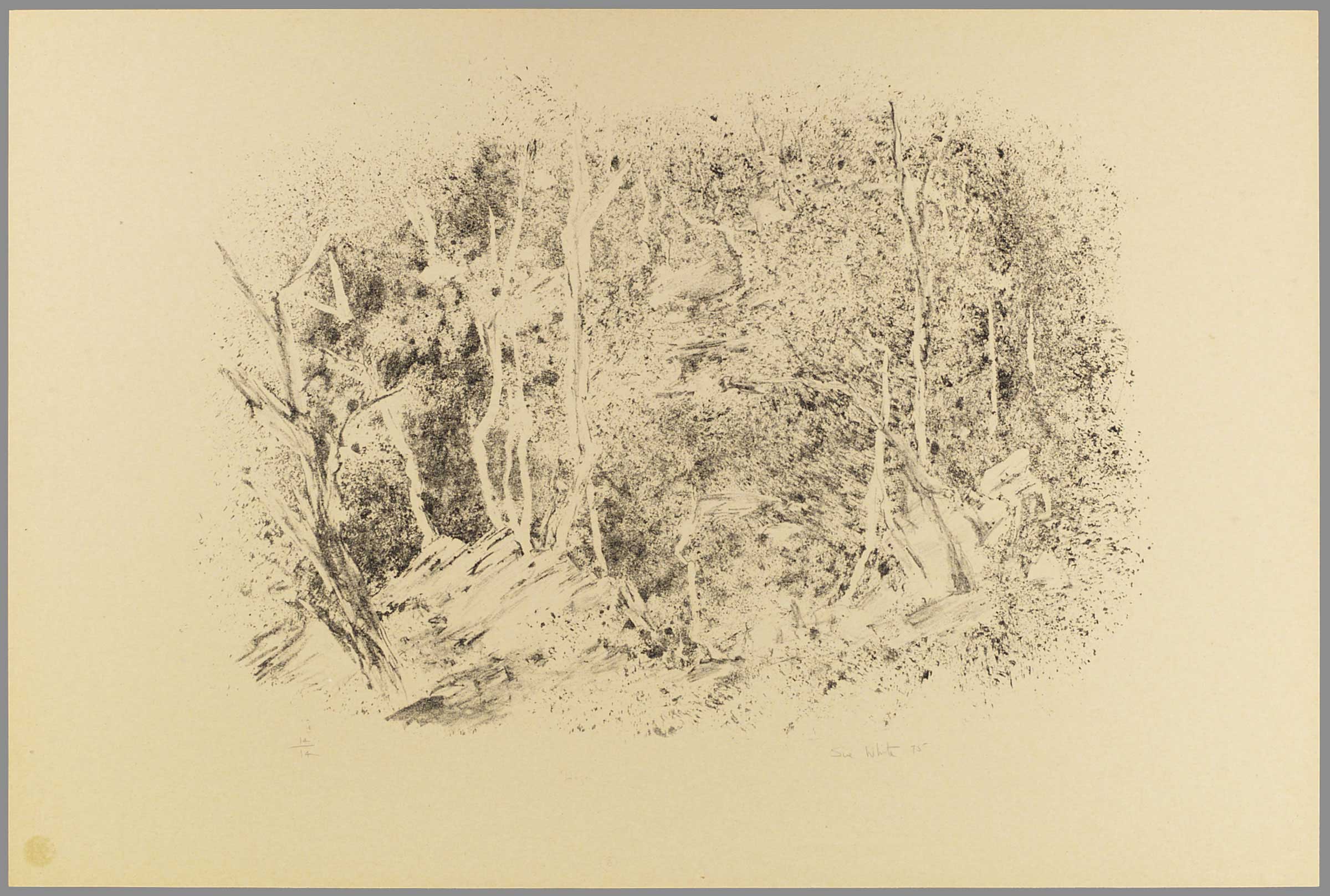 Haze by © Susan D White