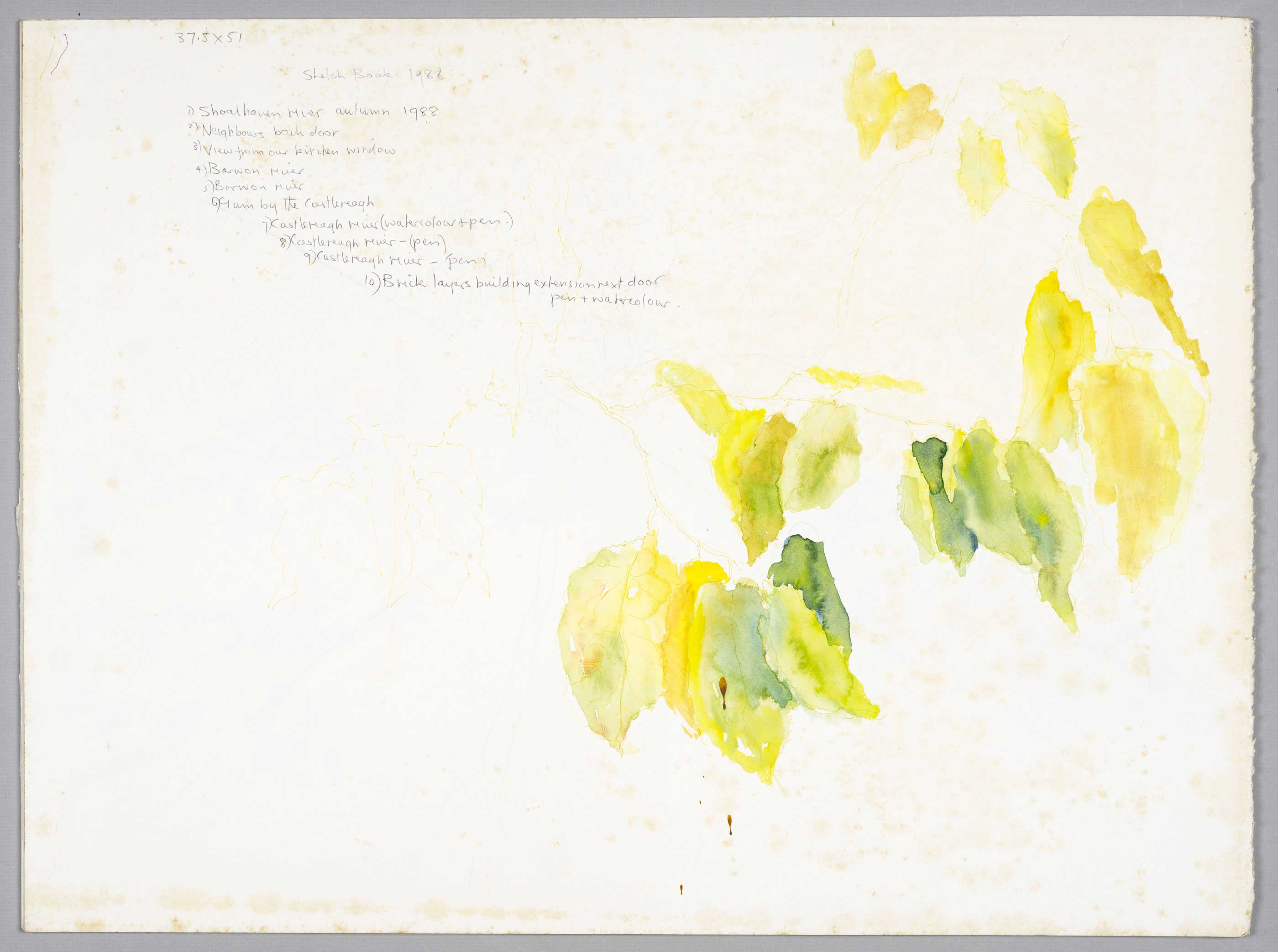 Mulberry leaves, list of works by  Susan D White