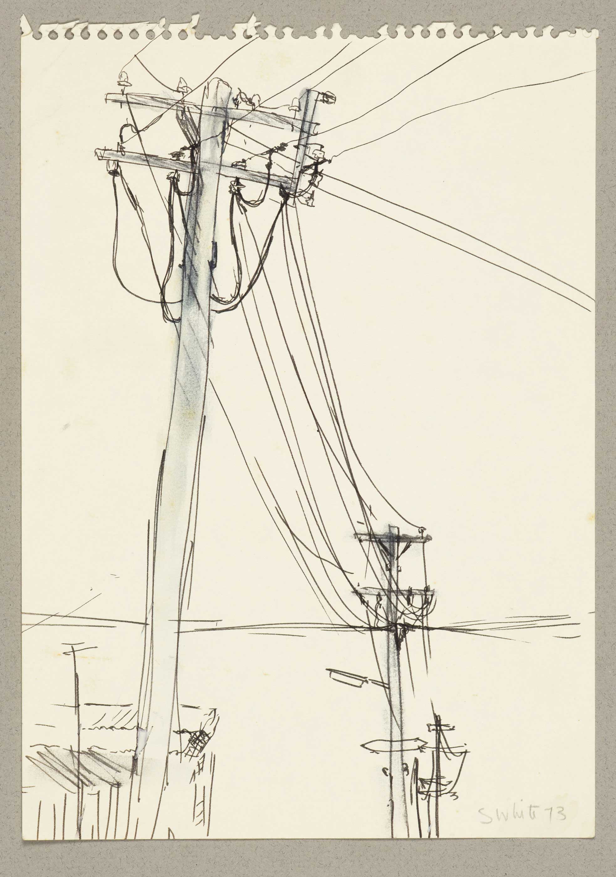 Power poles, Annandale by  Susan D White